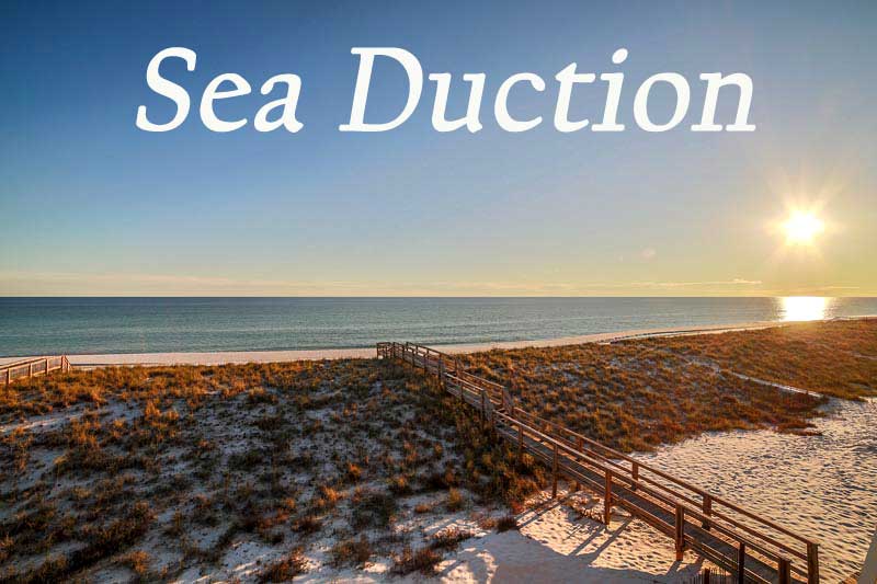 Sea Duction